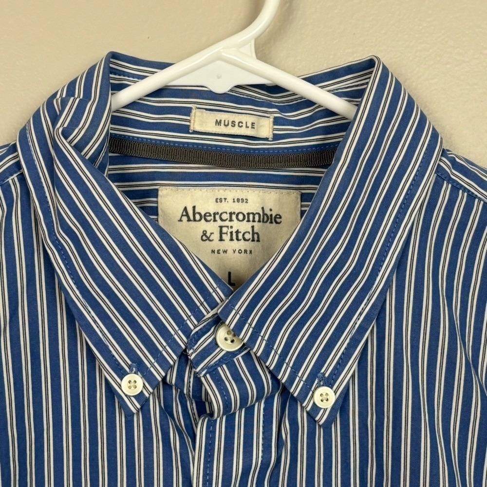 Vtg Abercrombie & Fitch Shirt Mens Lg Blue White Stripe‎ Muscle Button Down
